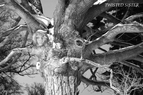 TWISTED SISTER