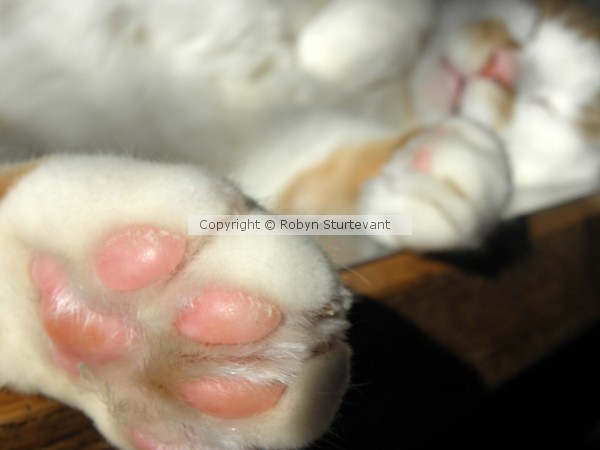 What big feet you have