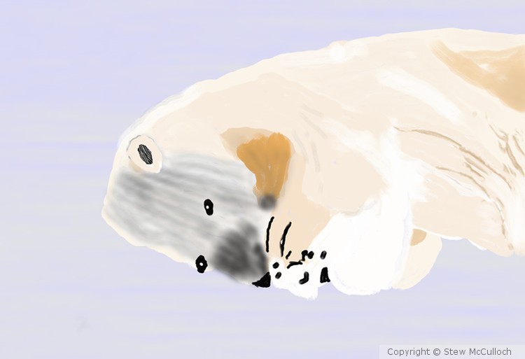 Sleeping in the Snow