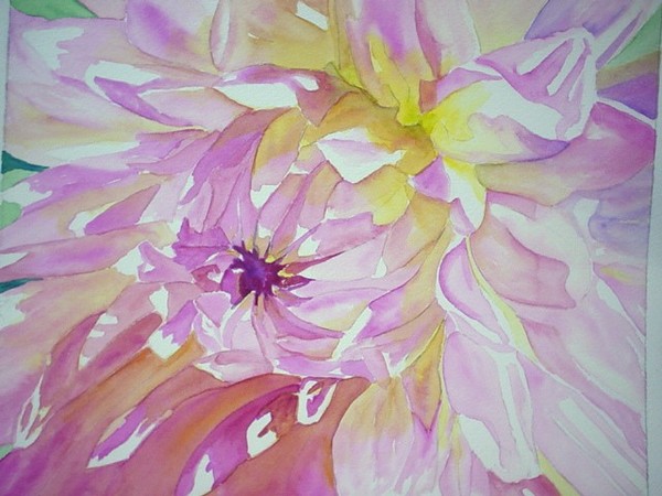 Dahlia