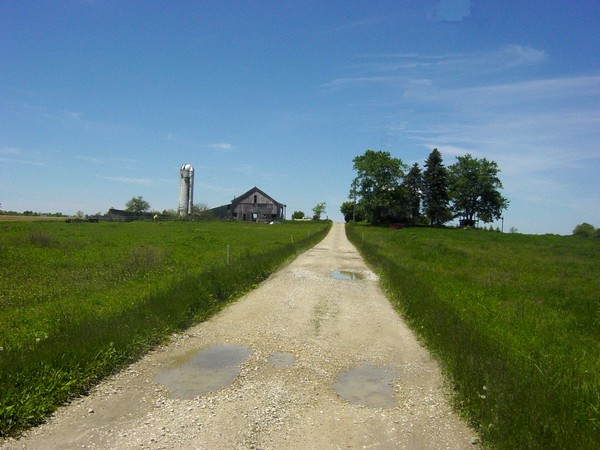 Long Road Home