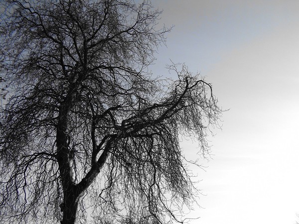 Crisp Winters Day