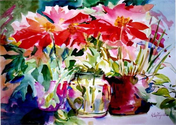 poinsettia 3