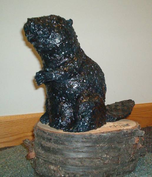 Beaver 1 