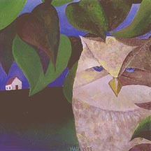 Owl