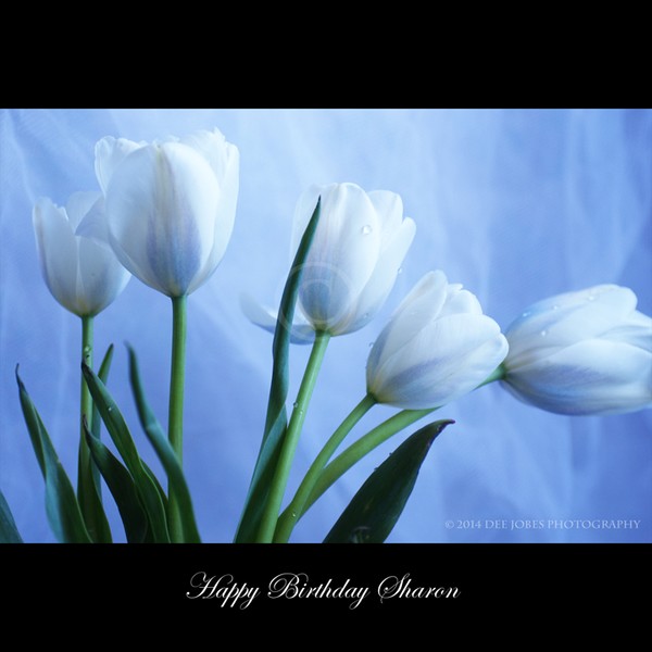 Happy Birthday Sharon