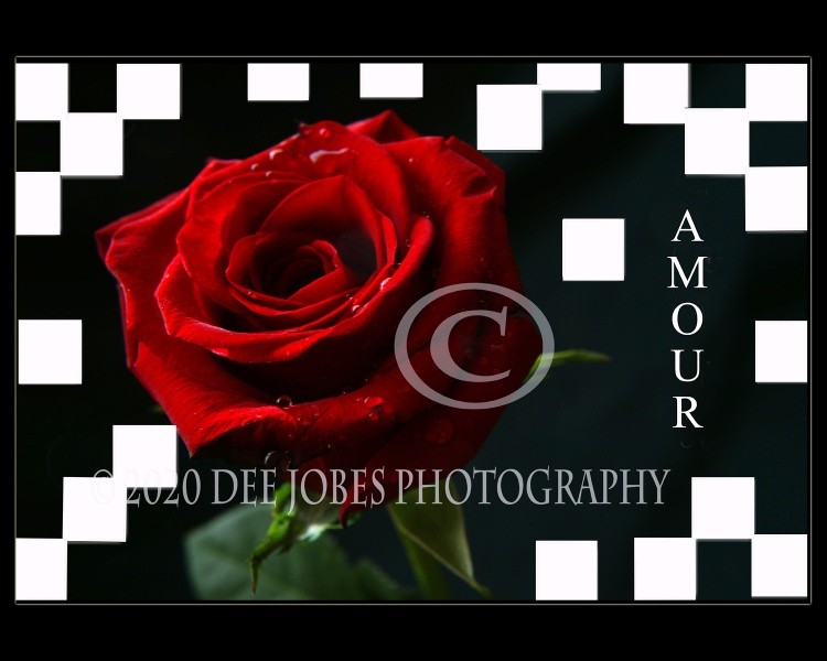 Amour Photo Art