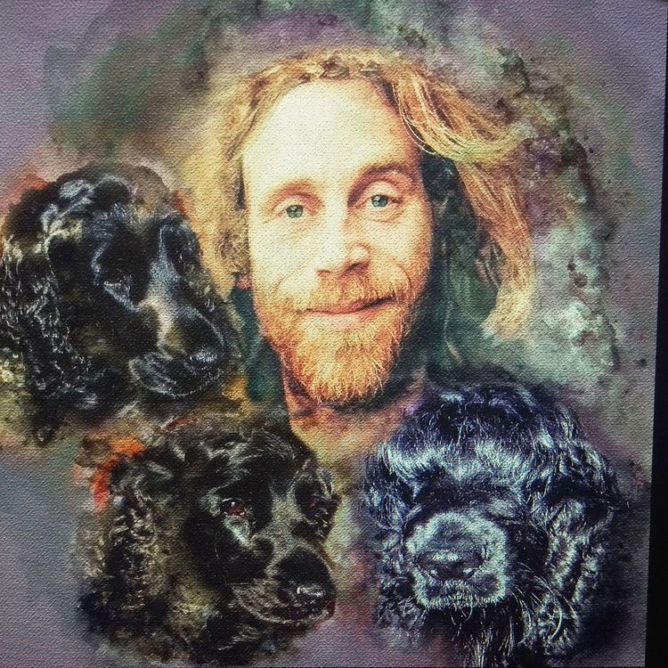 nikki and the dogs