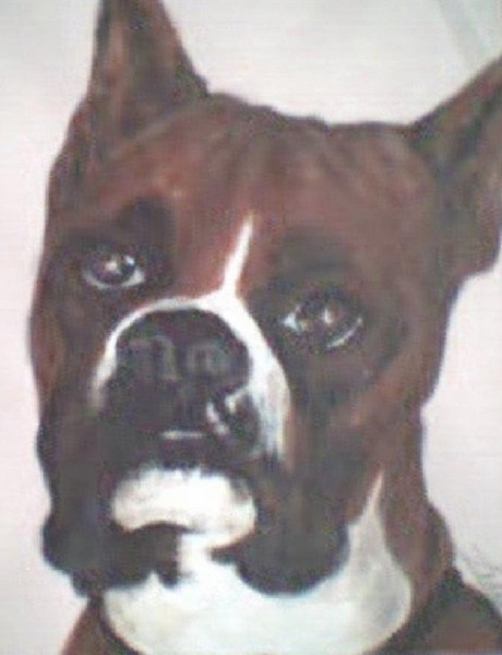 Buddy