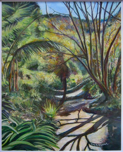 Wellington Botanical Garden Pathway. 