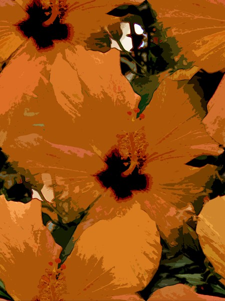October Toned Hibiscus (Two)