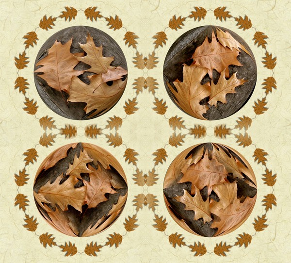 Autumn Leaves (Three)