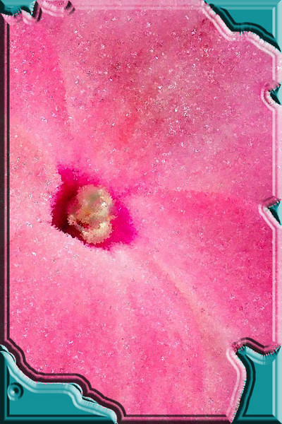 Embossed