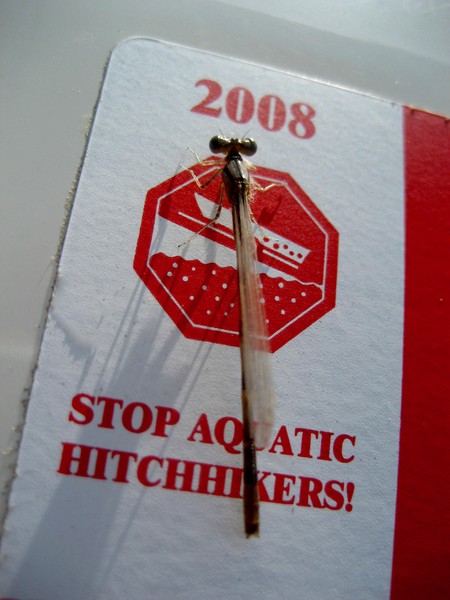 HitchHiker
