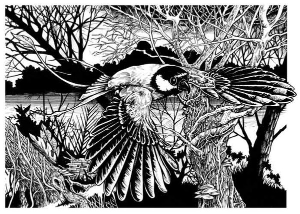 Birdy