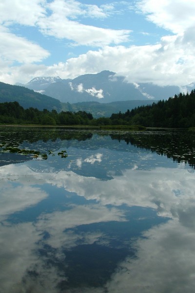 Reflection