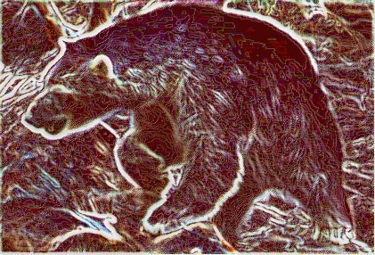 Bear Woodcut