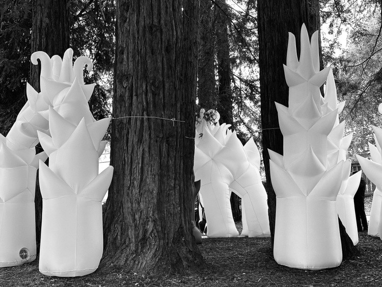 La Forêt de Plastique