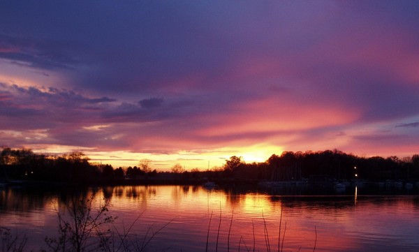 Serenity