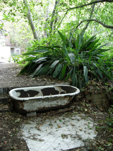 Tropical Terrace