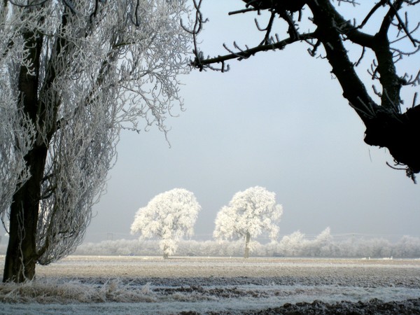 an ICY beautiful world
