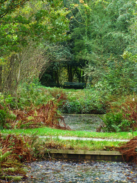 Hidden Peace