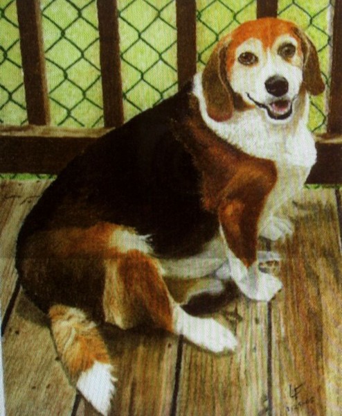 a friend's dog
