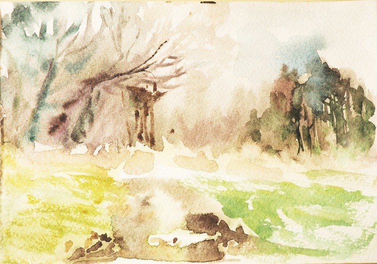 PC050099