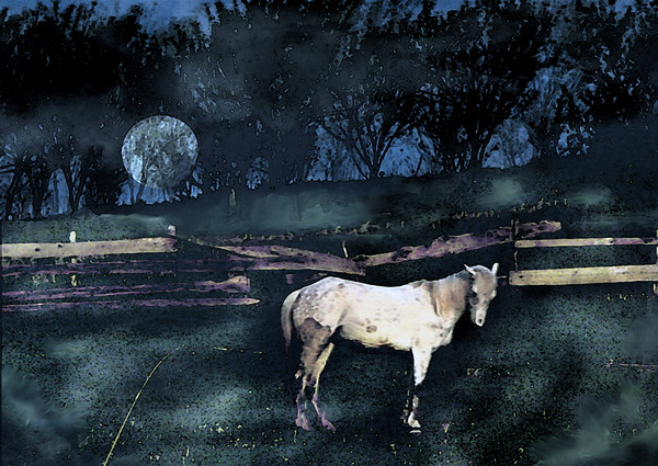 Full Moon White Horse