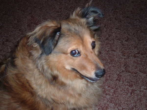 Gabby