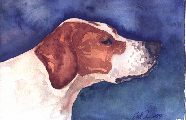 Pointer head detail