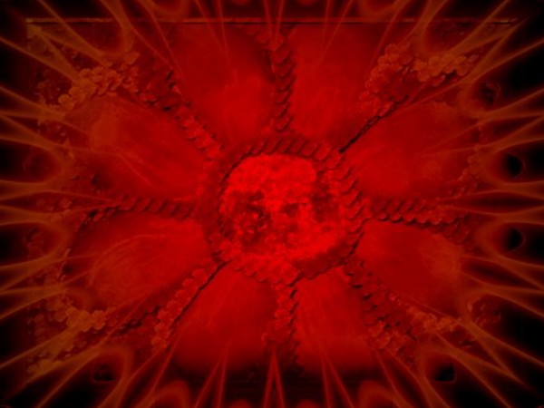Passion Flower
