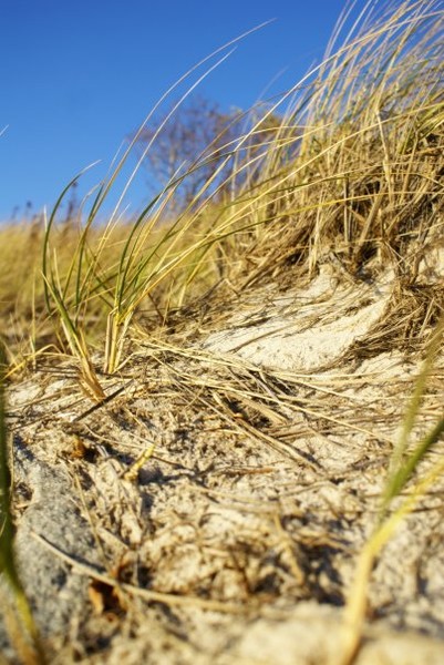 Dunes