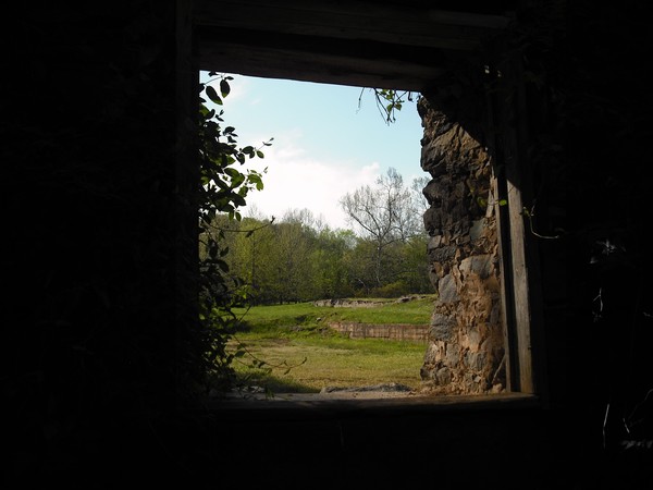 Window to The World