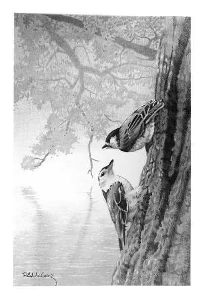 A Courtship