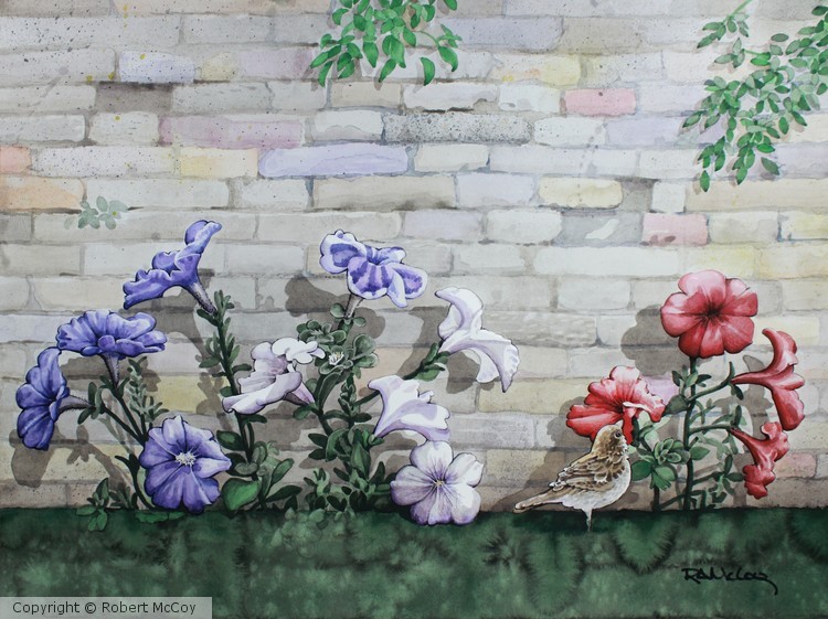 Segregated Petunias