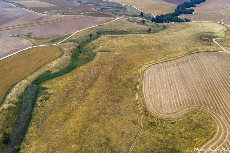 DJI 0363