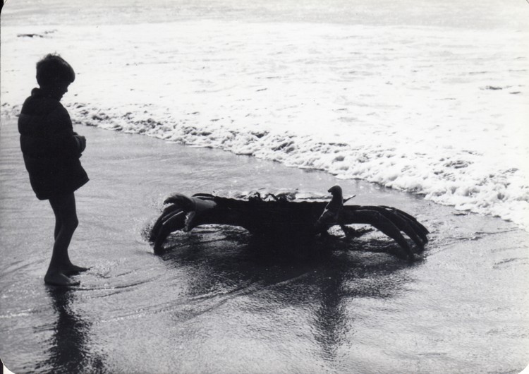 Steel Crab