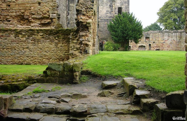 UP FROM THE DUNGEONS