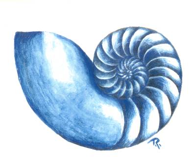 Shell