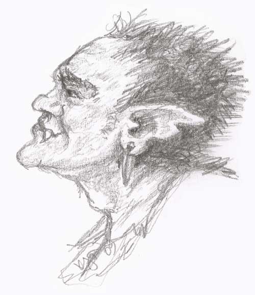 Troll in Profile