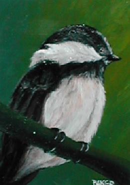 Chickadee
