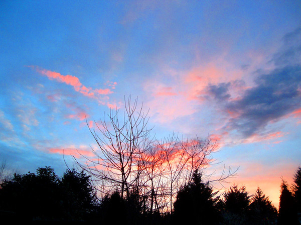 Washington Sunset