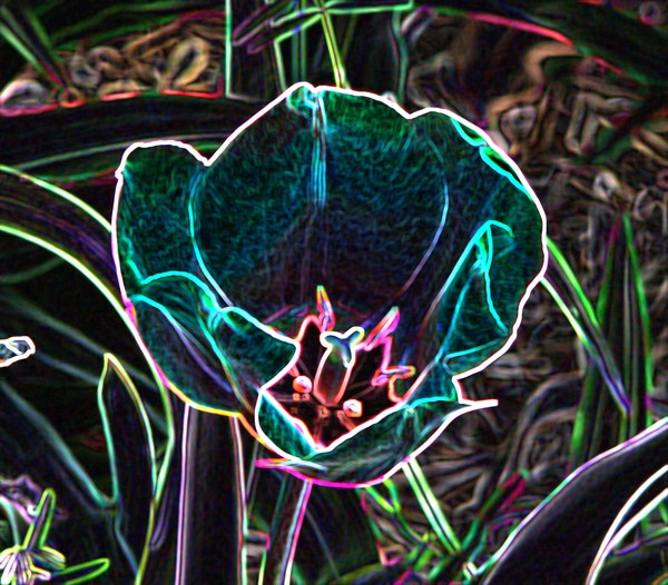 Neon Flower