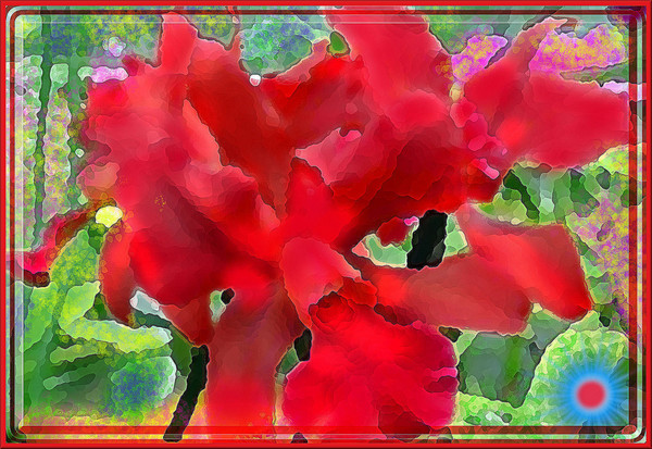 RED VELVET ORCHID DEVOTED TO SWEET NECTAR