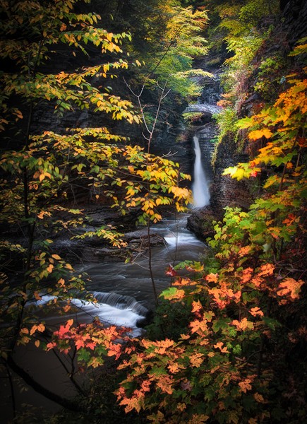Surrounded by Fall