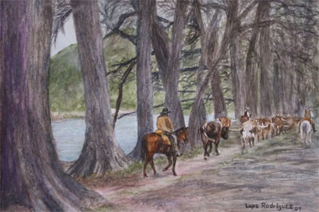 Alli por el Rio Frio