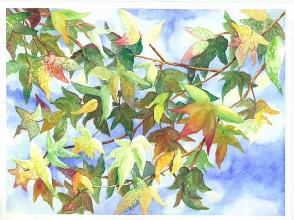 Seasons Change