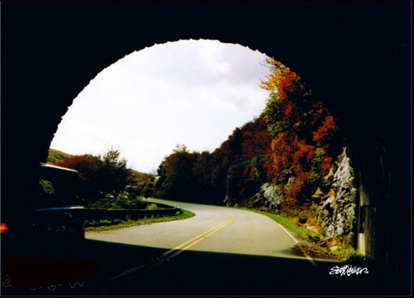Tunnel Vision
