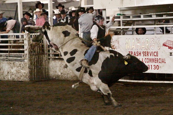 Bull Riding
